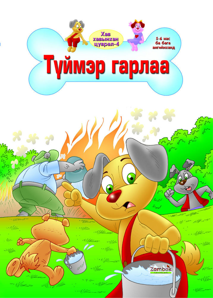 «Түймэр гарлаа» номын хавтас